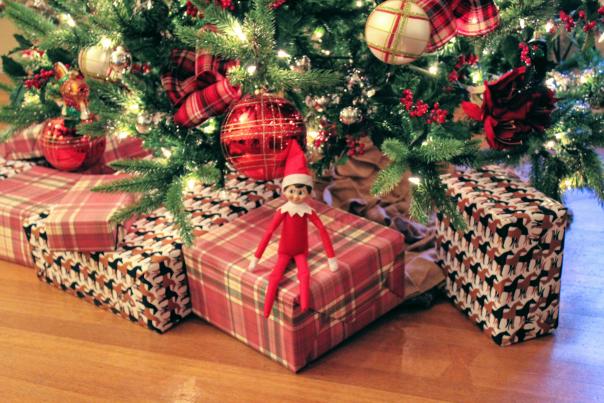 Elf Mateo under the Christmas tree