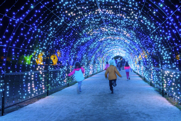 Couple holding hands at the Christmas tree farm