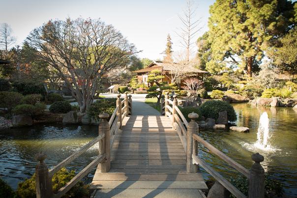 Japanese Tea Garden in San Mateo's Central Park