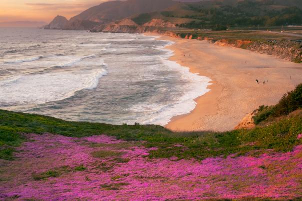 Montara State Beach Jeff regan