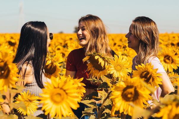 Friends gathered at the Andreotti Family Farm during sunflower season.