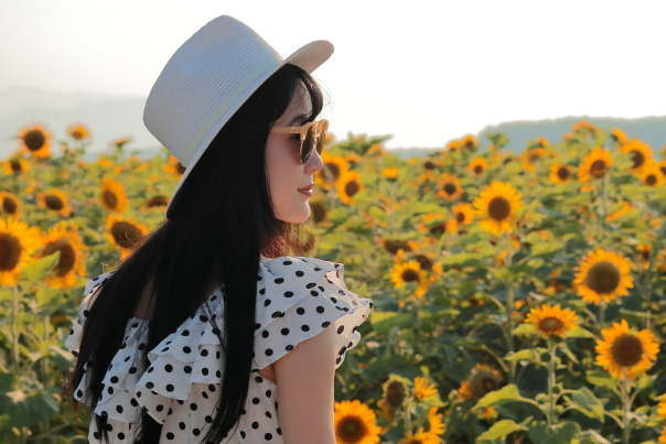 Woman admiring the sunflowers at a local farm