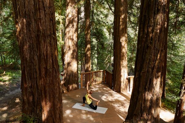 Yoga in the Redwoods at Canyon Ranch Woodside