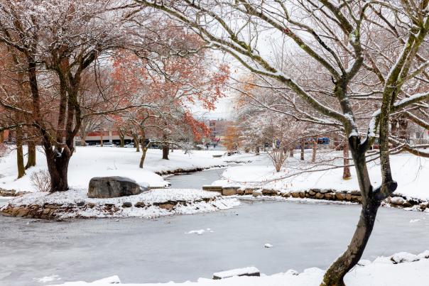 pond in park with trees all covered in ice and snow