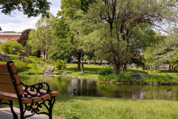 congress park in spring