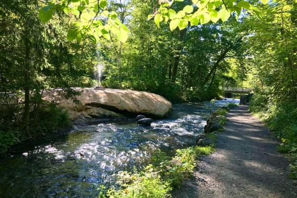 Mineral Springs