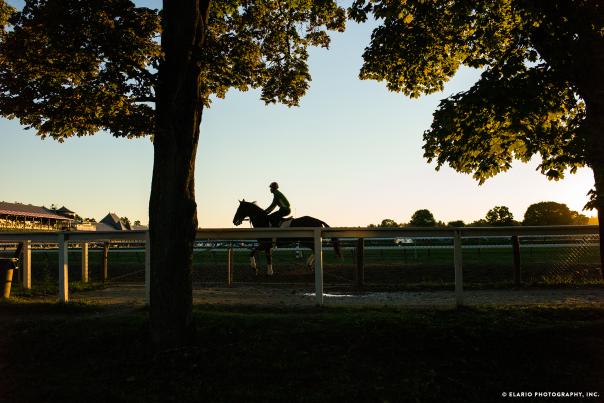 Horse and jockey at dusk at the Saratoga Race Course