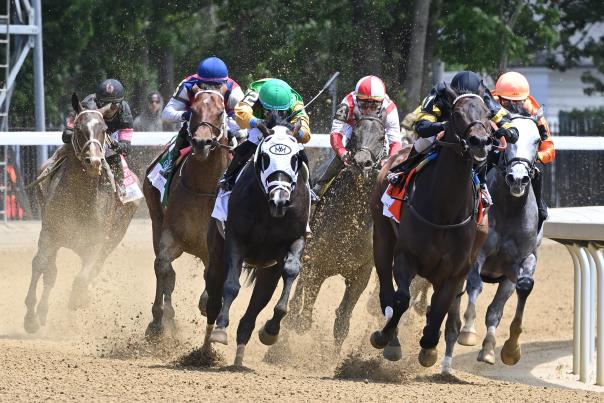 horses running on dirt track