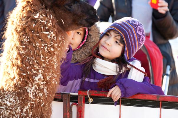 WinterShines (2)
