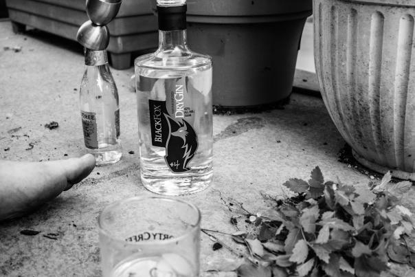 sustainable blog 3