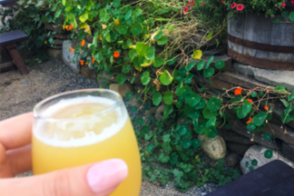 Day Trip: Altamont, NY