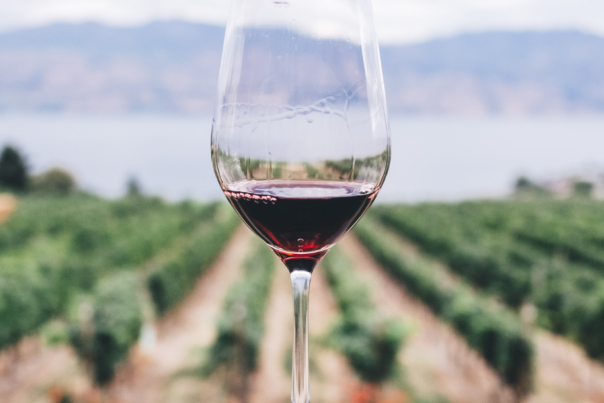generic wine glass with vineyard backdrop