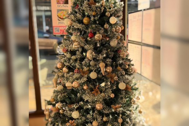 Hoorays Christmas Tree 2024