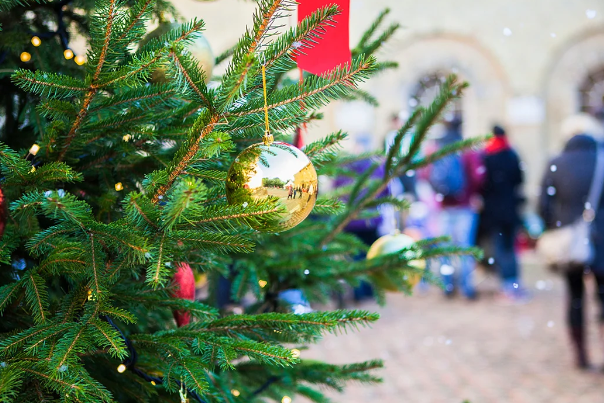 close up view of a Christmas tree