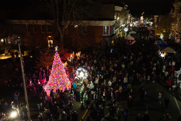 Celebration of Lights