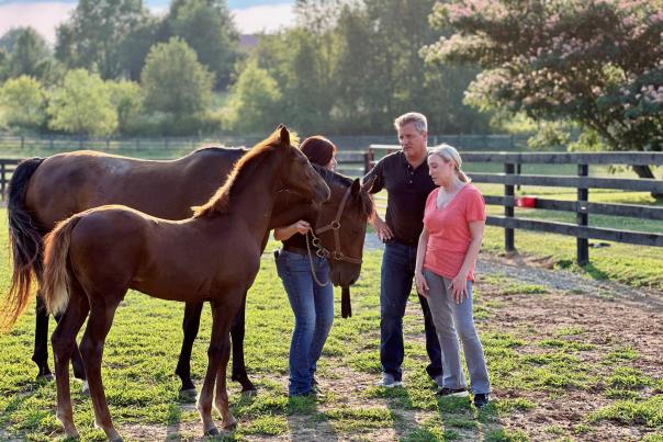HorseSensing