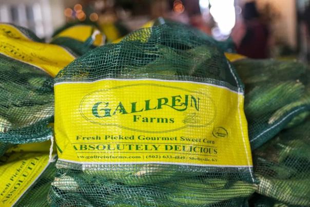 Gallrein Corn