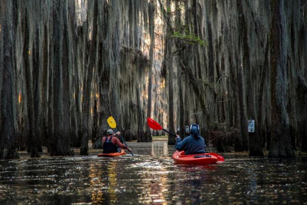 Two Kayakers on Caddo Lake