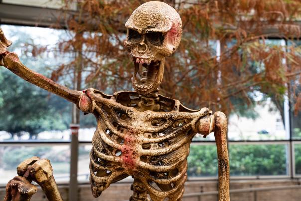 Shreveport-Bossier Halloween Round-Up