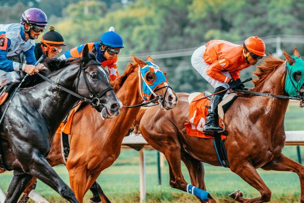 Louisiana Downs Casino & Racetrack Horseracing