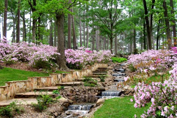 RW Norton Garden