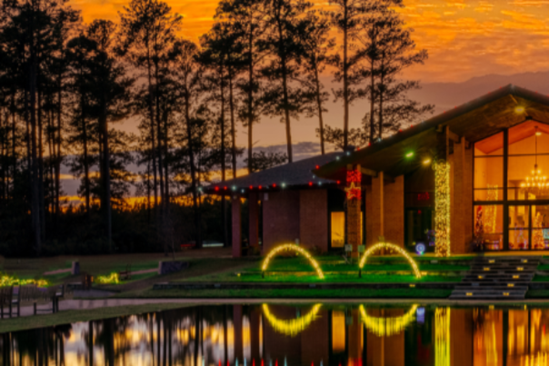 blog size - header - christmas in roseland