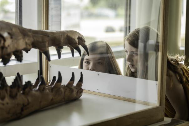 Two girls looking at the skeleton of an animal at Sci-port