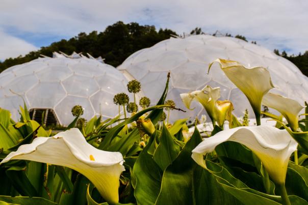Embracing Sustainability