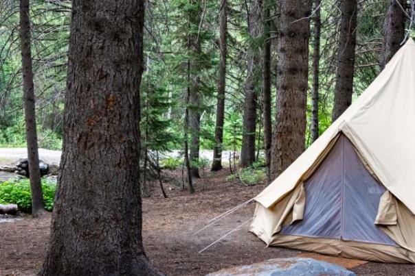 A white bell tent in a forested area of the Utah Valley, USA.