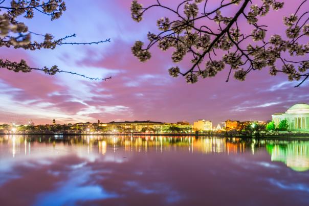 Washington DC landscape