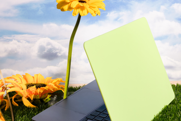 Springing into action: fresh websites to blossom your online experience blog image