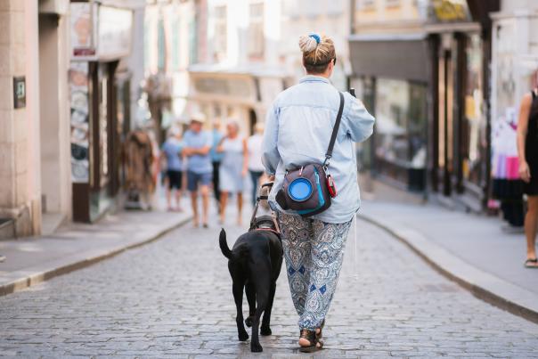A blind traveler holds a mobility cane in one hand and the harness of a guide dog in the other while traveling a cobblestone street, representing accessible tourism.