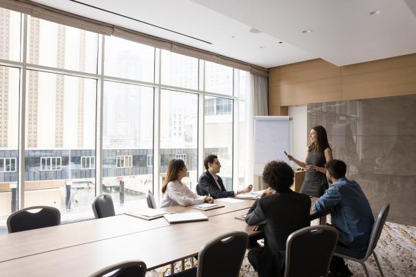 An advisory board meets in a well-lit conference room with lots of windows.