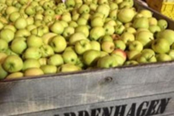 Bardenhagen Apples