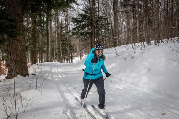 Cross Country Skiing on Palmer Woods