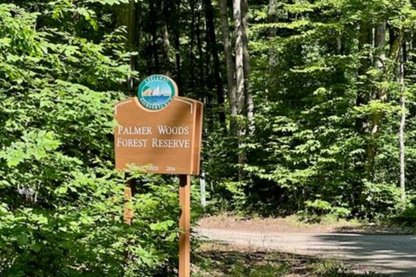 Palmer Woods Trailhead