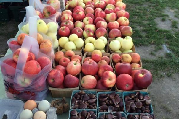 Bakker's Acres