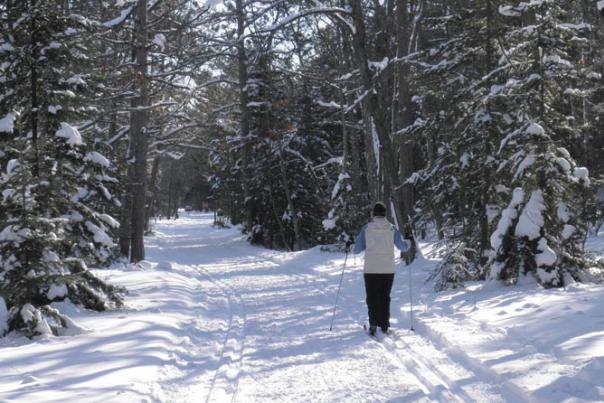 Three Nordic Fun Options During &#x201C;Holiday Week&#x201D; In Sleeping Bear