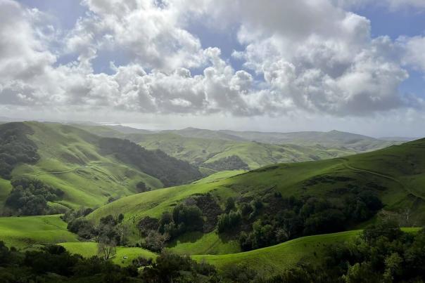 green hills in slo cal