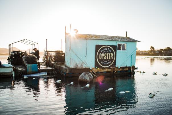 Morro Bay Oyster Co