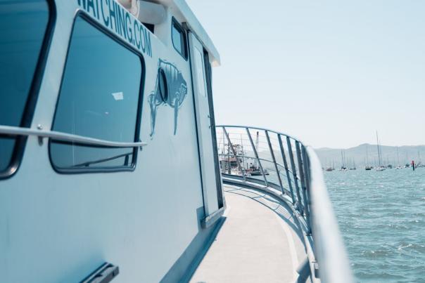 Morro Bay Whale Watching Tour Boat