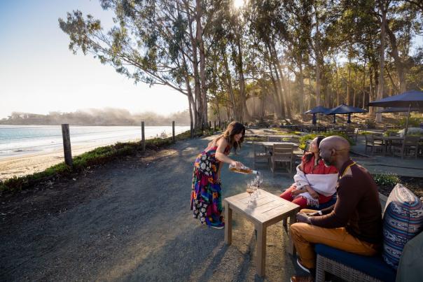 Couple wine tasting outside next to the beach with sun coming through eucalyptus trees