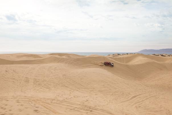 Car driving on large sand dunes with ocean in background