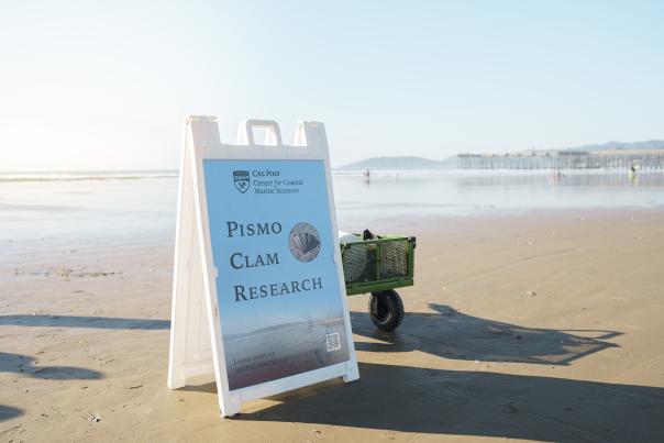 Blue and white Cal Poly Pismo Clam research sign with green wagon behind and the beach in the background