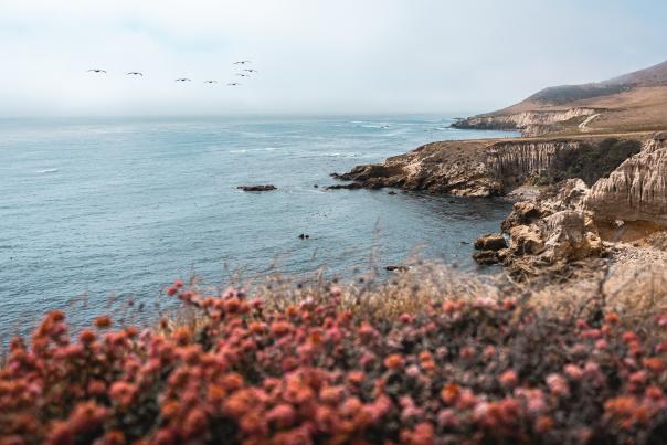 Montana de Oro