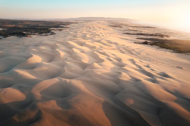 Oceano Dunes Scenic View