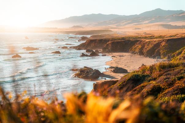 San Simeon Shoreline