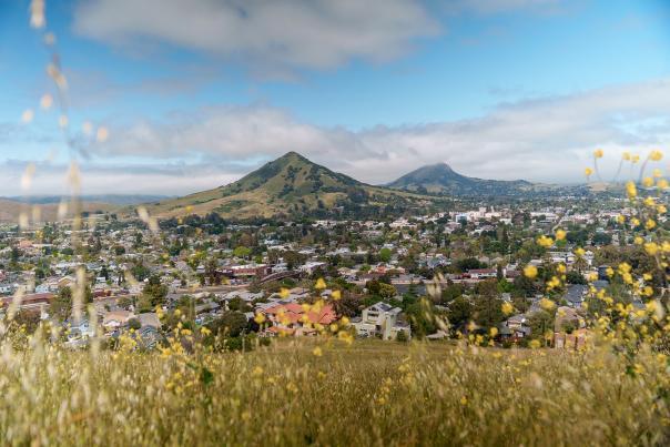 Hill view with mountains in background and wildflowers in foreground