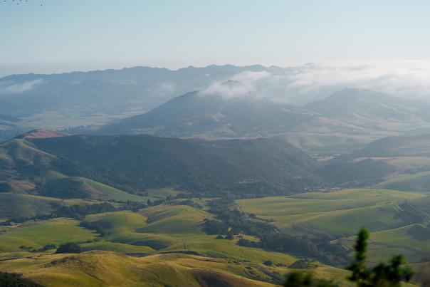 Landscape of green hills and fog