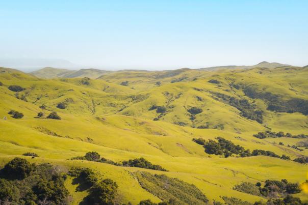 Green rolling hills in SLO CAL